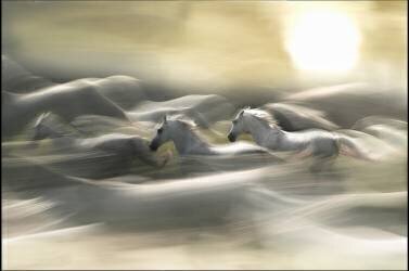 Morning dream (Milan Malovrh) - Muzeo.com
