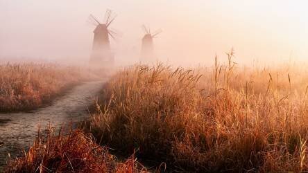 Morning mist (Gwangseop Eom) - Muzeo.com