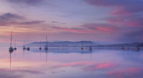 Morning Mood (Max Witjes) - Muzeo.com