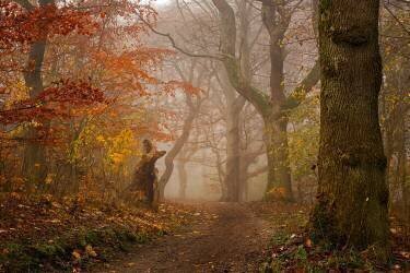 My autumn walk (Leif Londal) - Muzeo.com