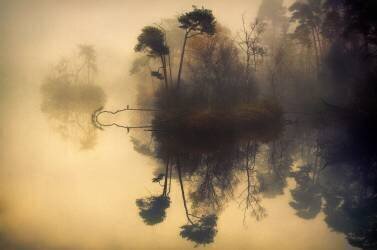 My place (Anton van Dongen) - Muzeo.com