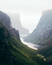 Newfoundland Fjord (David Fazaeli) - Muzeo.com