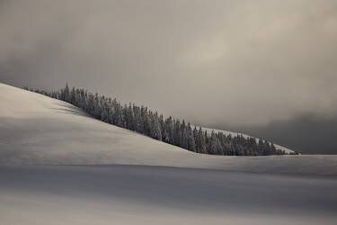 Oasis (Lazar Ioan Ovidiu) - Muzeo.com