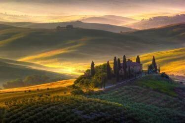 Of green and gold (Francesco Riccardo Iacomino) - Muzeo.com