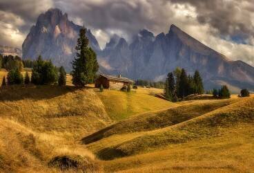 On a mountain meadow (Martin Kucera) - Muzeo.com