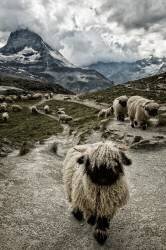 Out of my way (Susanne Landolt) - Muzeo.com