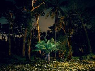 Painting in the Dark (Carli Choi) - Muzeo.com