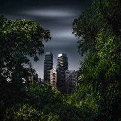 Peek through the leaves (Amatou T) - Muzeo.com