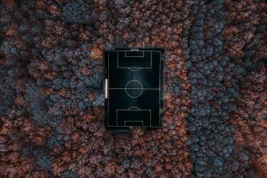 Playing in the forest (Carmine Chiriaco) - Muzeo.com