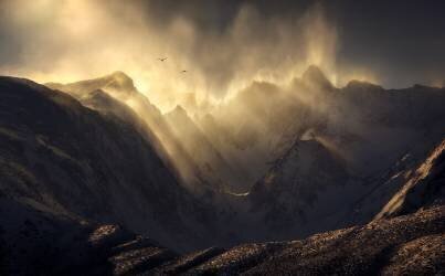 Polterzeitgeist (Ryan Dyar) - Muzeo.com