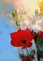 Poppy on blue (AlyZen Moonshadow) - Muzeo.com