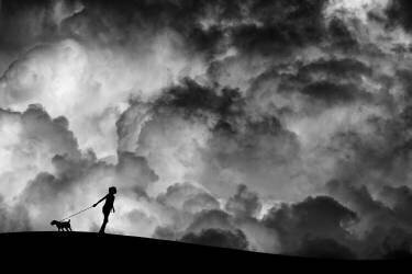 Prelude To The Dream (Hengki Lee) - Muzeo.com
