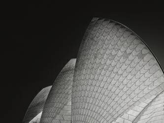 Rafters and Curves (Mathilde Guillemot) - Muzeo.com