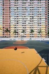 Rainbow (Kevin Jiang) - Muzeo.com