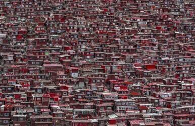 Red houses (Ali Al-Jazeri) - Muzeo.com