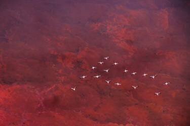 Red land (Hao Jiang) - Muzeo.com