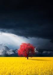 Red tree (Bess Hamiti) - Muzeo.com