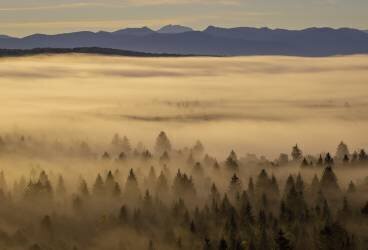 Right before sunrise (Norbert Maier) - Muzeo.com