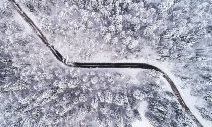 Road through the winter forest (Ales Krivec) - Muzeo.com