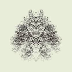 Rorschach Test (Nadav Jonas) - Muzeo.com