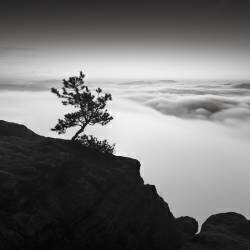 Sächsische Schweiz Kingdom (Ronny Behnert) - Muzeo.com