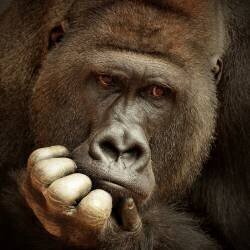 Sense of life (Antje Wenner-Braun) - Muzeo.com