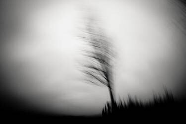 Shadow dancer (Dorit Fuhg) - Muzeo.com