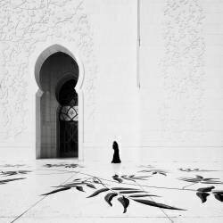 Sheikh Zayed Mosque (Ronny Behnert) - Muzeo.com
