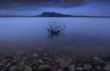 Silence (Farshad Sorkhi) - Muzeo.com