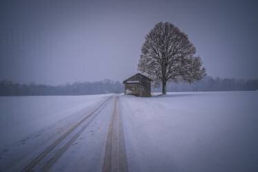 Silence (Renate Wasinger) - Muzeo.com