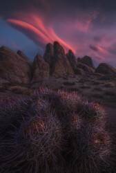 Sleuth of Scintillance (Ryan Dyar) - Muzeo.com