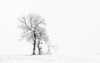 Small world (Dan Meeusen) - Muzeo.com