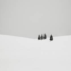 Snowscapes - Almost there (Ronny Behnert) - Muzeo.com