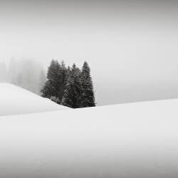 Snowytales Oasis (Ronny Behnert) - Muzeo.com