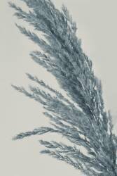 Soft (Heidi Westum) - Muzeo.com