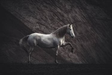 Solitaire (Heike Willers) - Muzeo.com