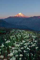 Spring dawn in the mountains (Ali Fallahzadeh) - Muzeo.com