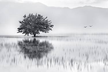 Spring Mirror (Maria Kaimaki) - Muzeo.com