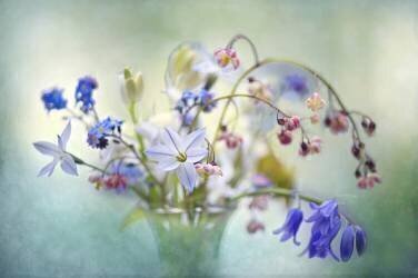Spring Treasures (Jacky Parker) - Muzeo.com