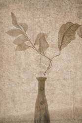 Still Life (Igor Tokarev) - Muzeo.com