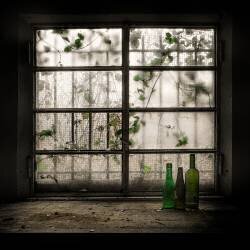 Still-Life with glass bottle (Vito Guarino) - Muzeo.com