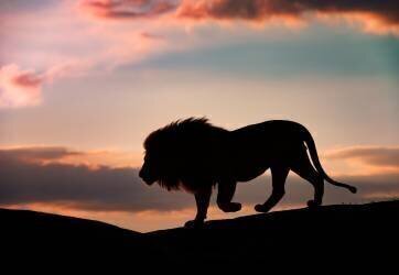 Sunset in the Serengeti (Mario Vigo) - Muzeo.com