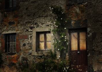 Sweet home (Anna Cseresnjes ) - Muzeo.com