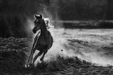 Take off (Mohammed Alnaser) - Muzeo.com