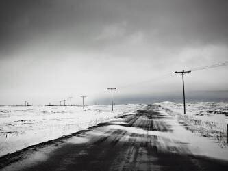 Telephone poles in snow covered field (Magnusson K.) - Muzeo.com