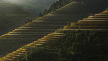Terrace walking (Izidor Gasperlin ) - Muzeo.com