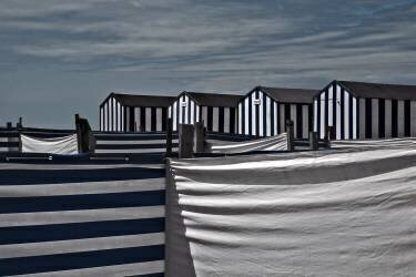 Territorial behavior (Gilbert Claes ) - Muzeo.com