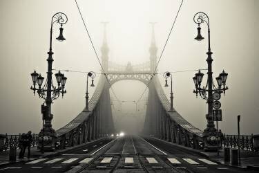 The Bridge (Armin Marten) - Muzeo.com