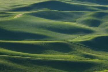 The Earth's Fine Skin (李从军 Austin) - Muzeo.com