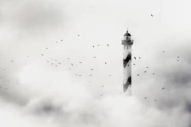 The fog (Piet Flour) - Muzeo.com